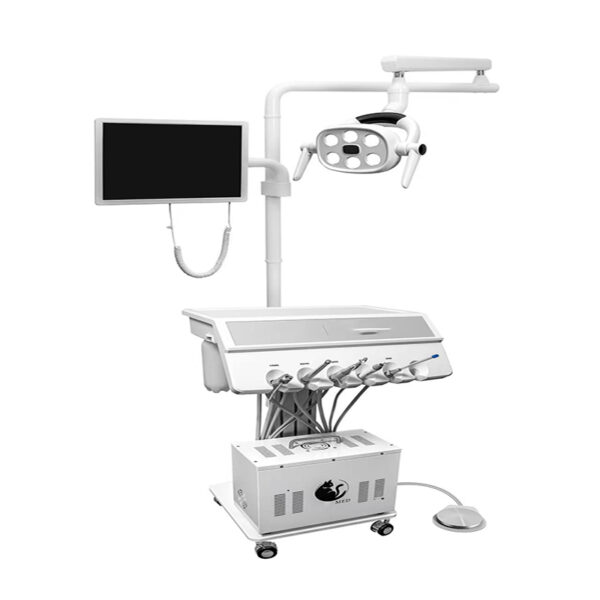 veterinary dental workstation,www.sinowise.group