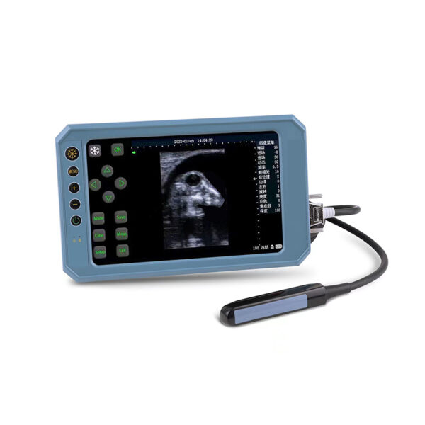 portable veterinary ultrasound
