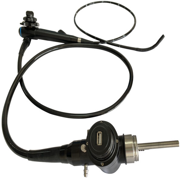 veterinary endoscope