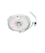 pet surgery light