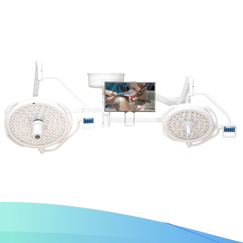 veterinary LED surgical light,www.sinowise.group